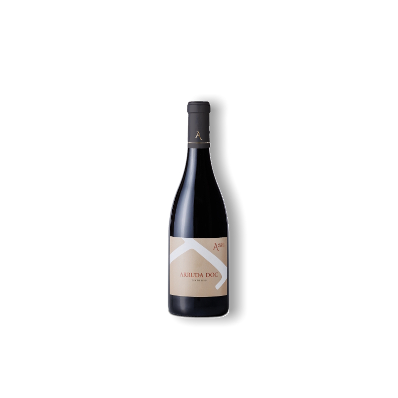 Arruda Doc 2019