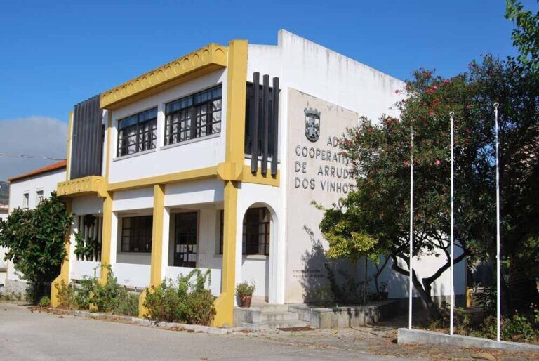 website image