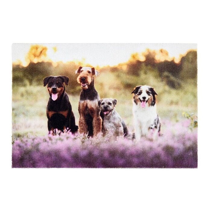 Tapete de interior, deco print, 100% poliamida, desenho grupo cães, 40 x 60 cm