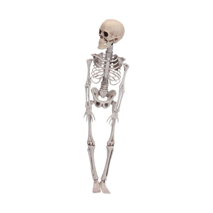 Figura esqueleto halloween 42 cm