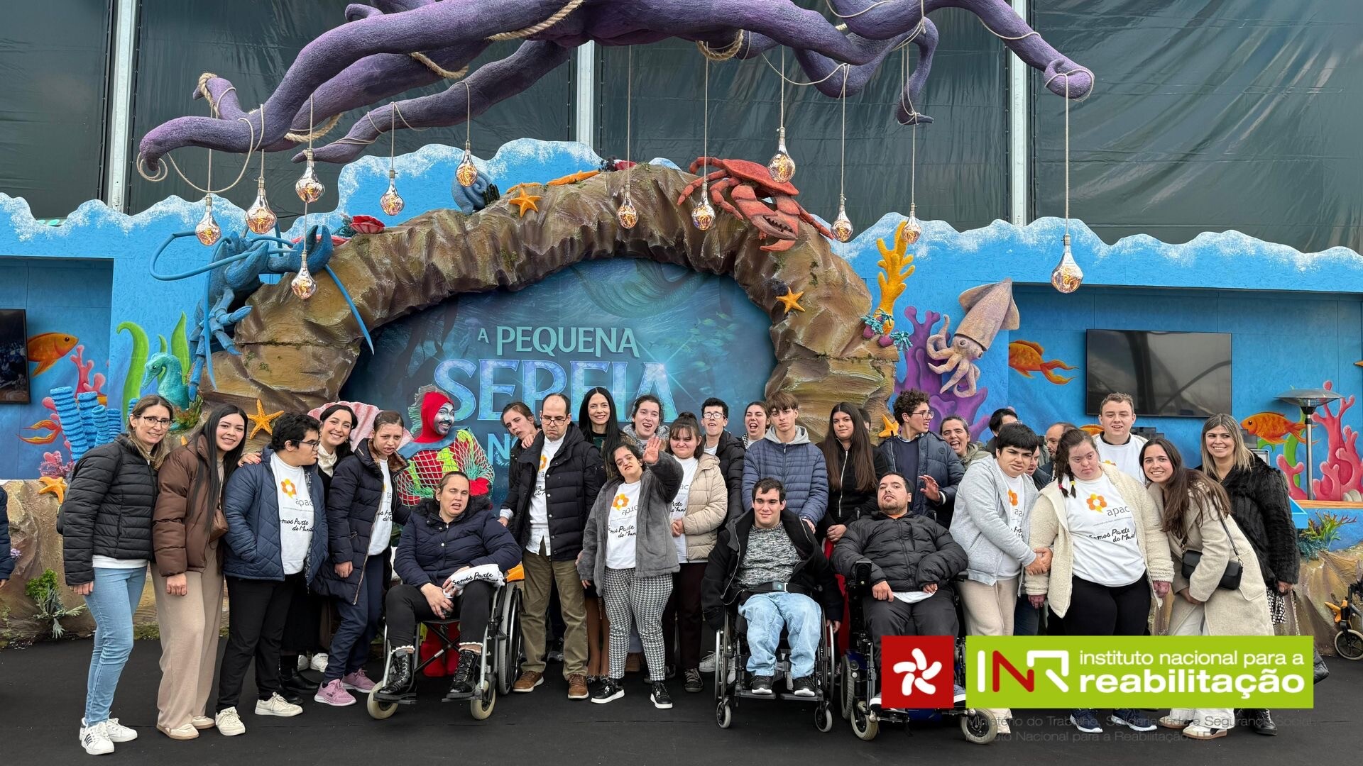 website image