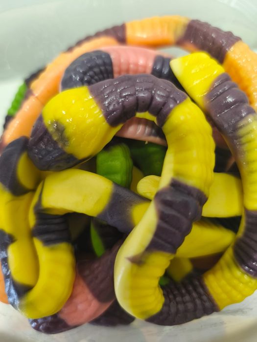 Serpentes XXL