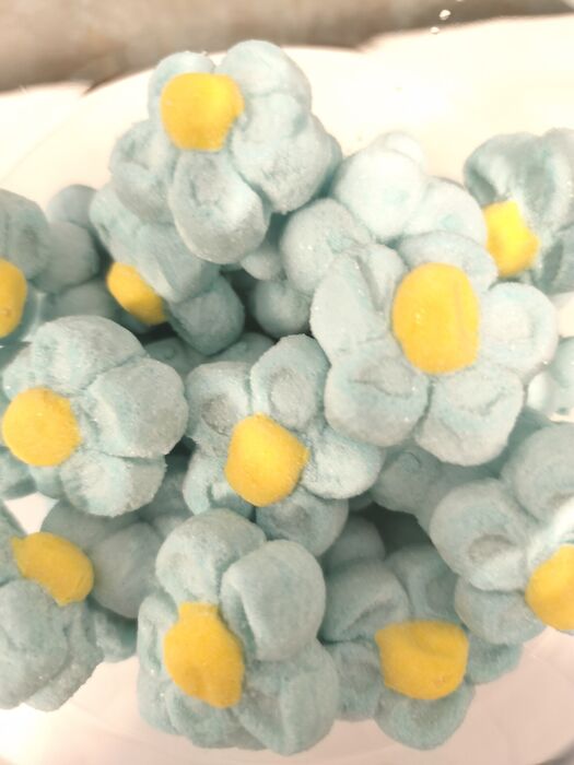 Marshmallows Margaridas
