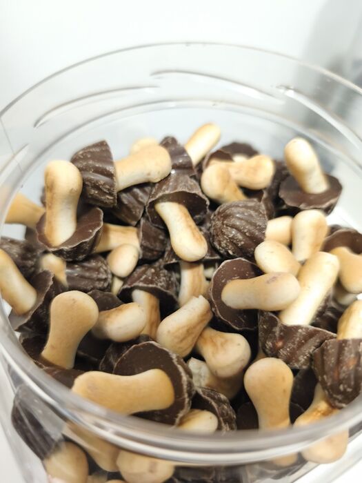 Cogumelos de Chocolate
