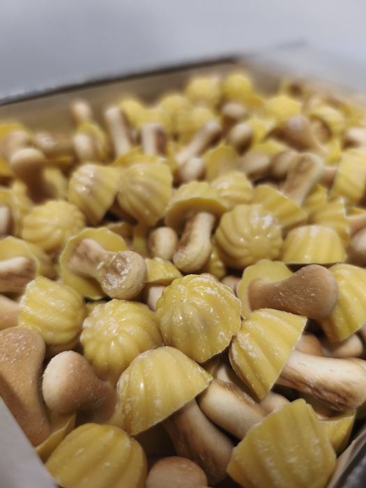 Cogumelos de Banana