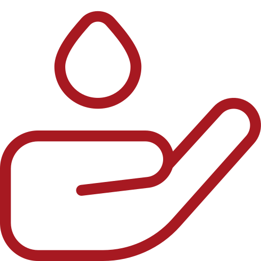 website image