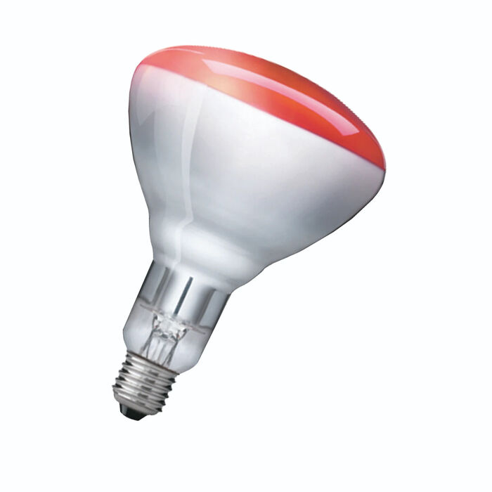 Philips 60800122350 lâmpada incandescente 250 W
