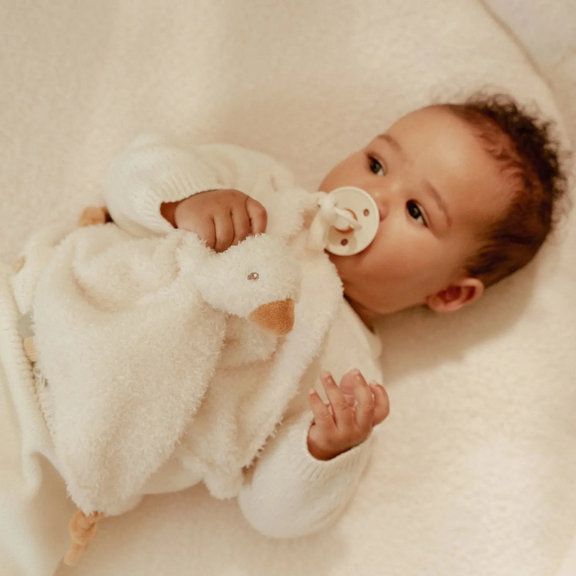 Cuddle Cloth Little Goose