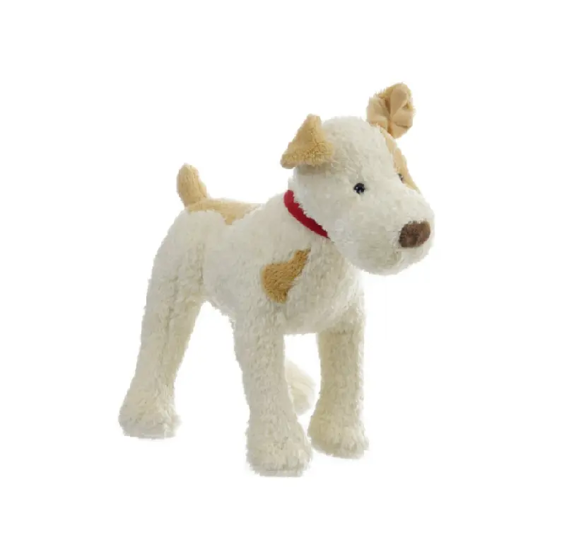 Cão Médio Eliot