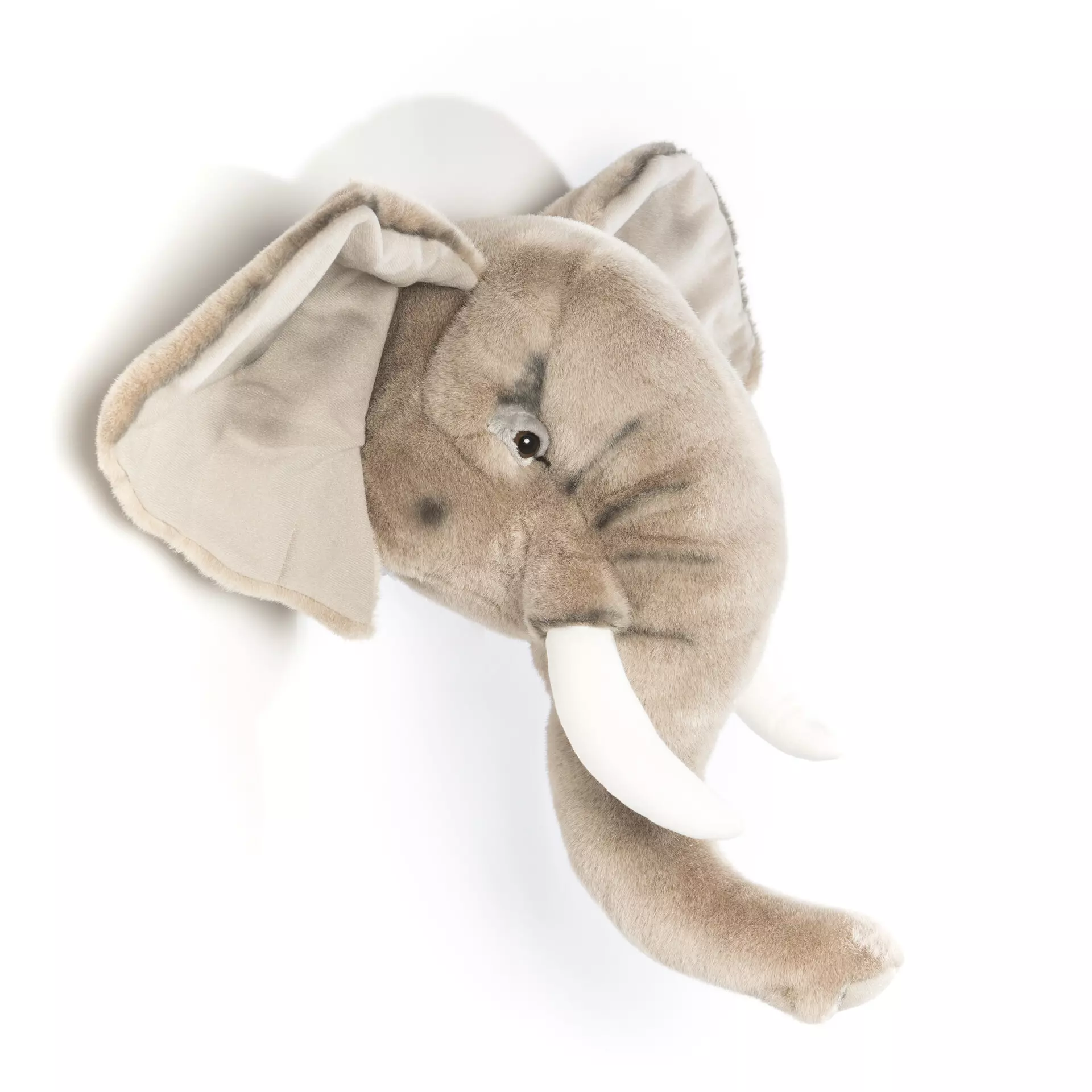 Elefante George