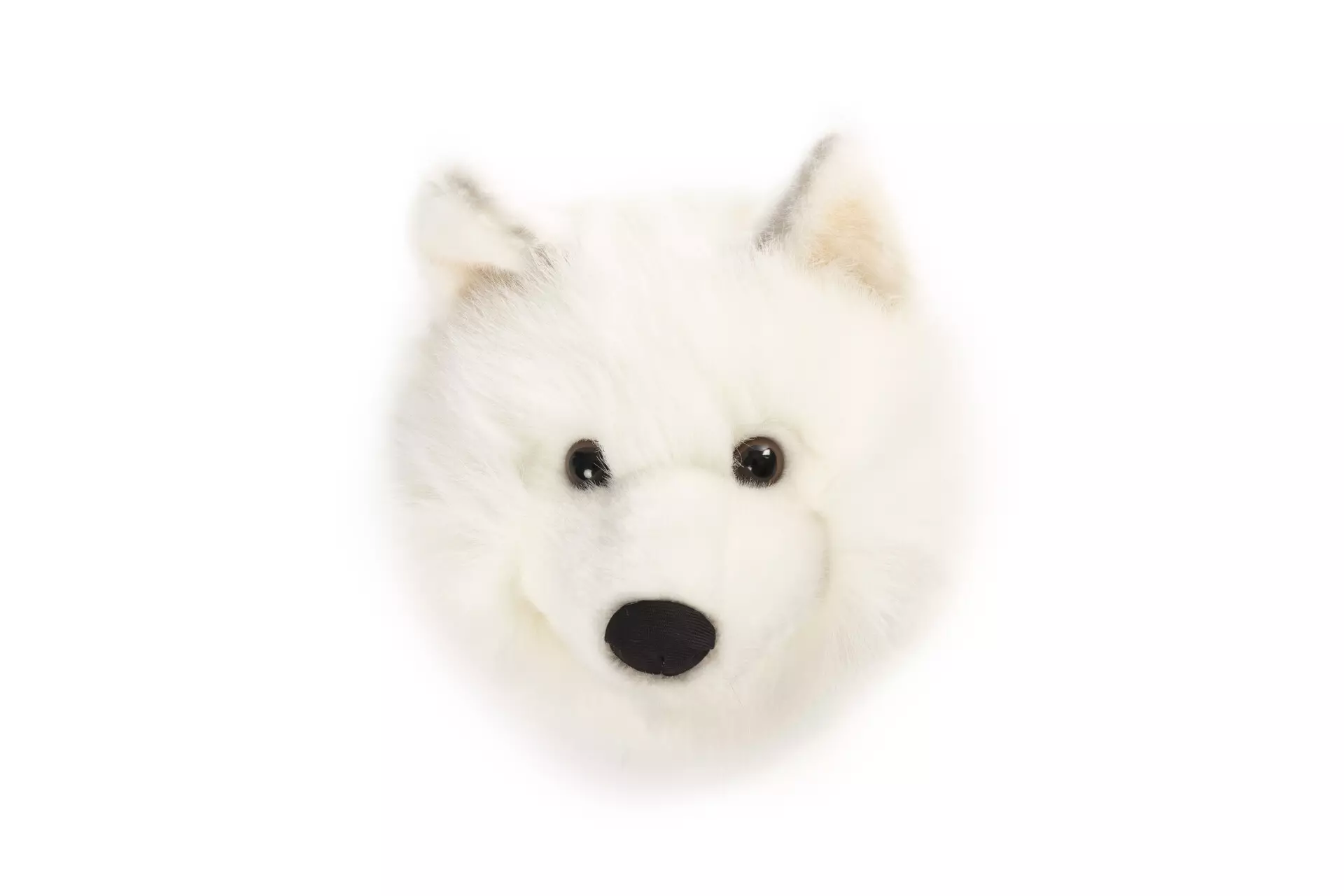 Lobo Branco Lucy Médio