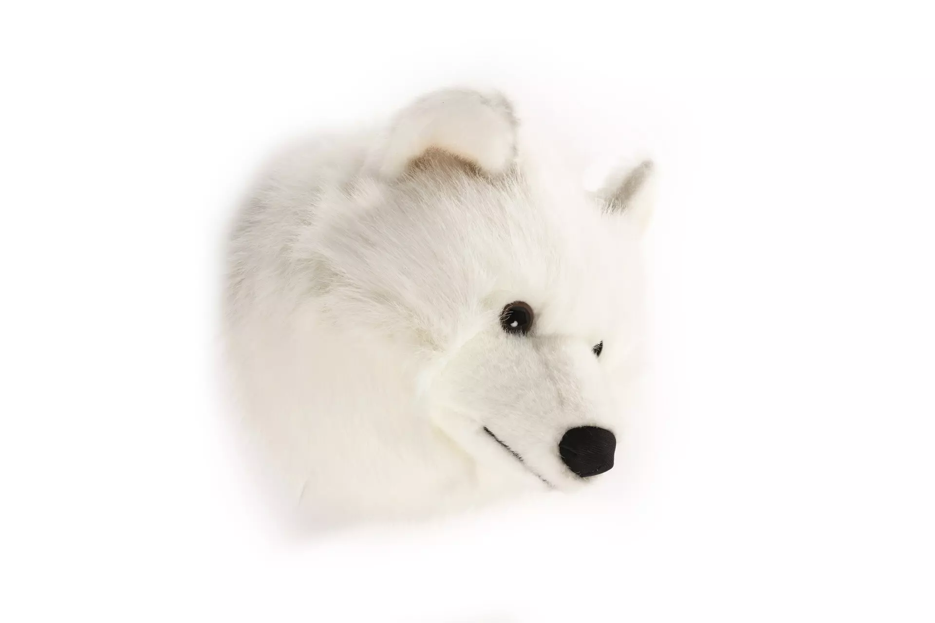 Lobo Branco Lucy Médio