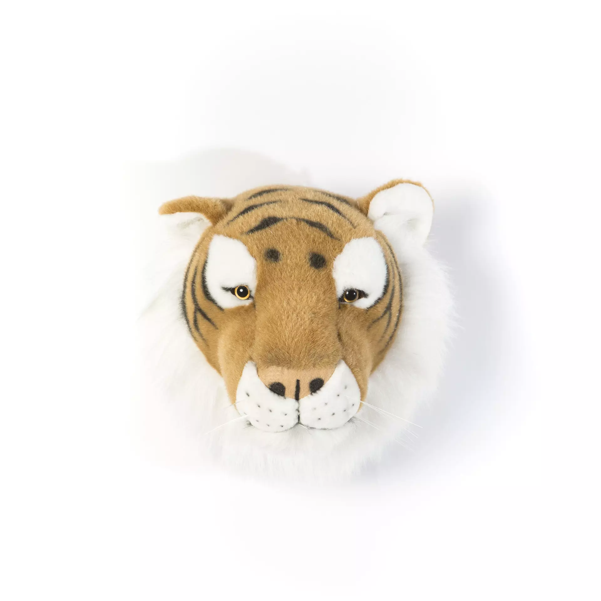 Tigre Felix