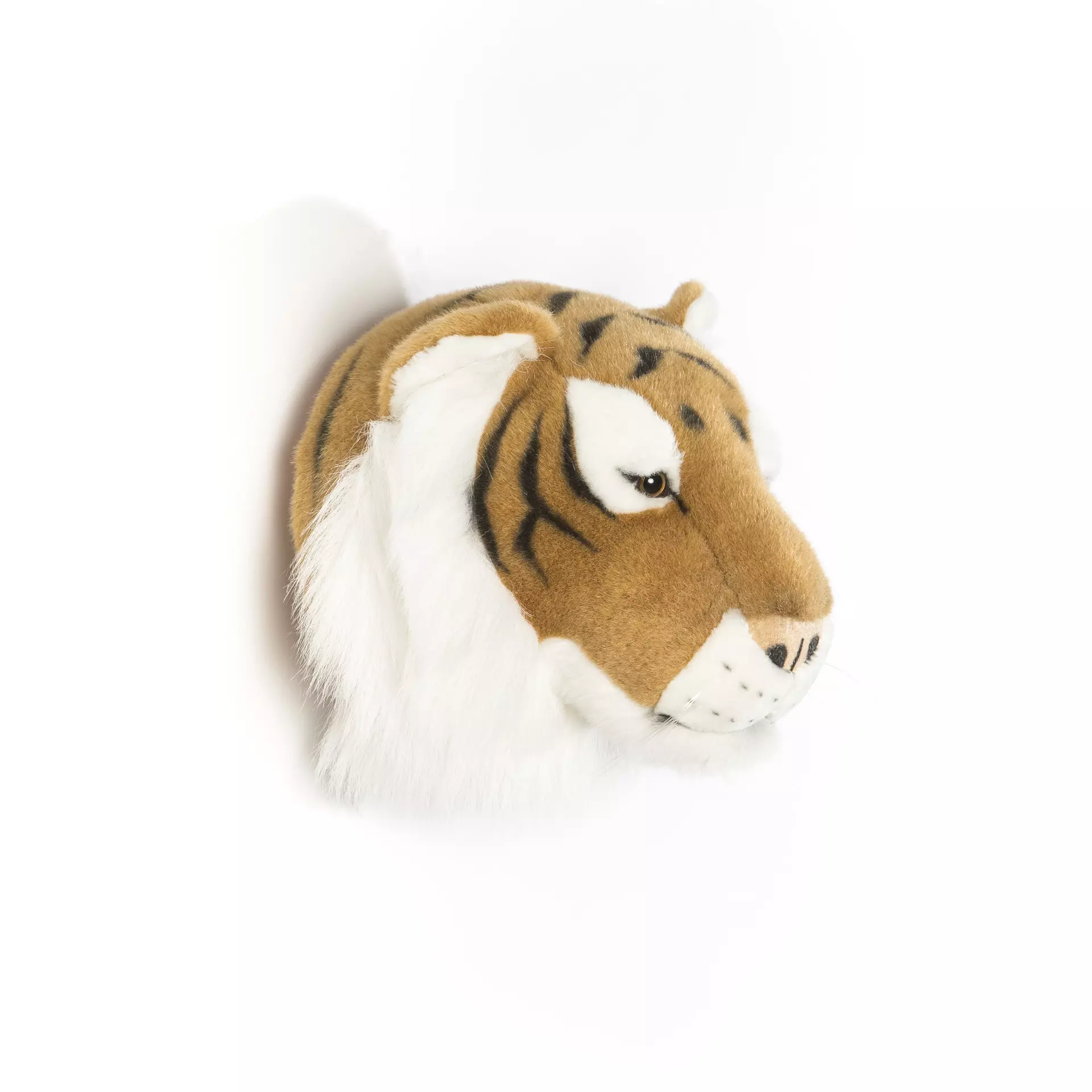 Tigre Felix