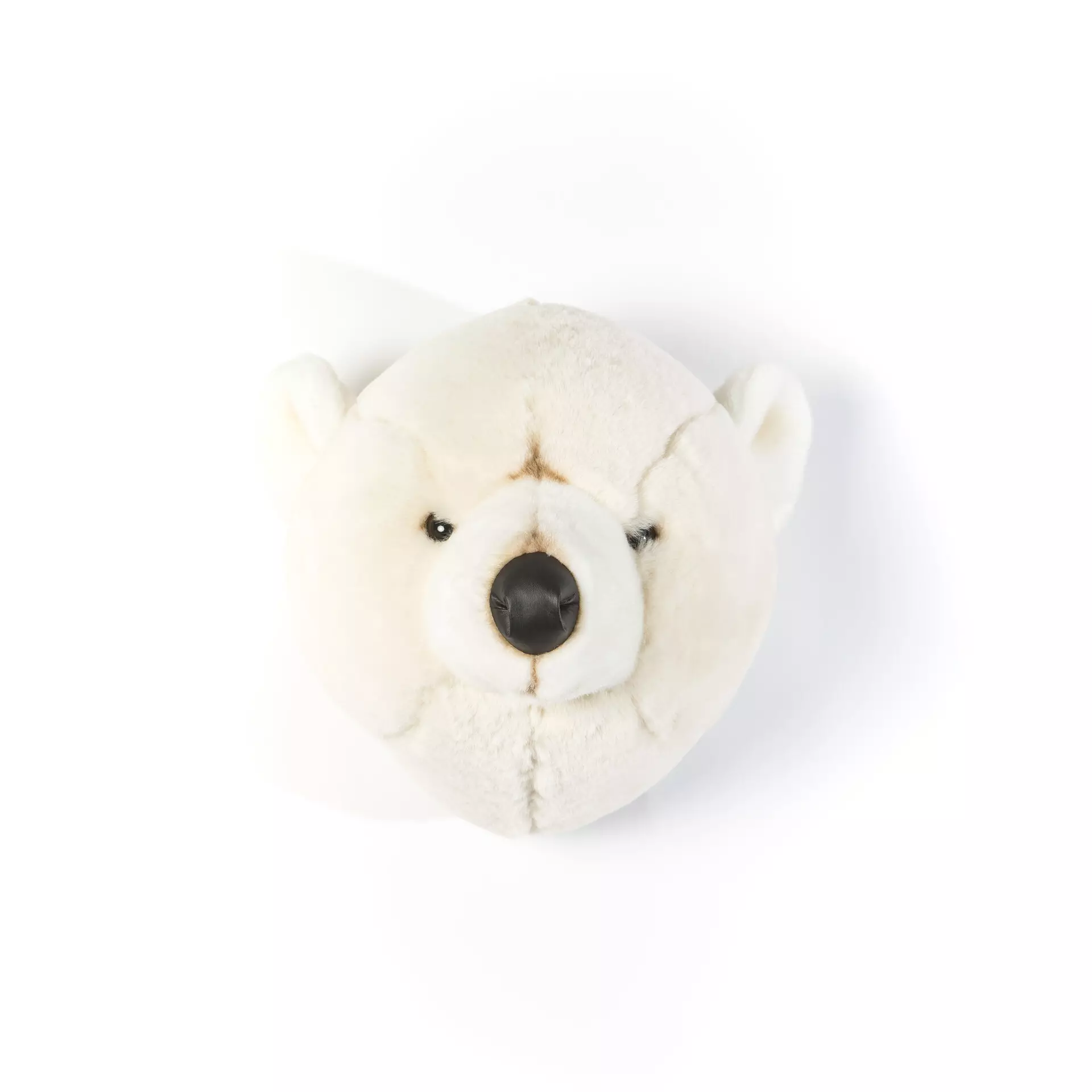 Urso Branco Basile