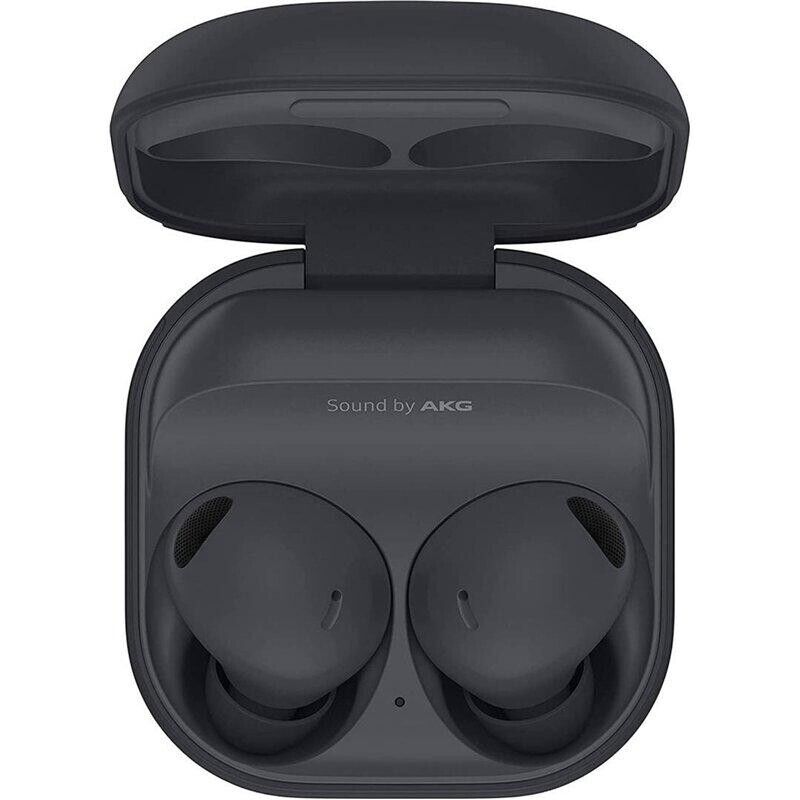 Samsung Galaxy Buds2 Pro Graphite