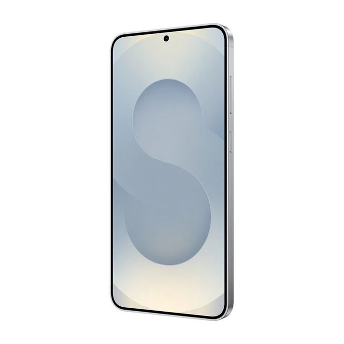Samsung Galaxy S25 5G 12GB/256GB Silver Shadow