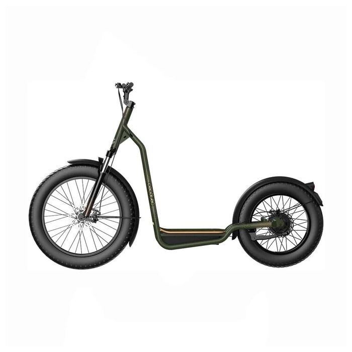 Trotinete Eléctrica Cecotec Fat Trotón 130W/1000W 75km