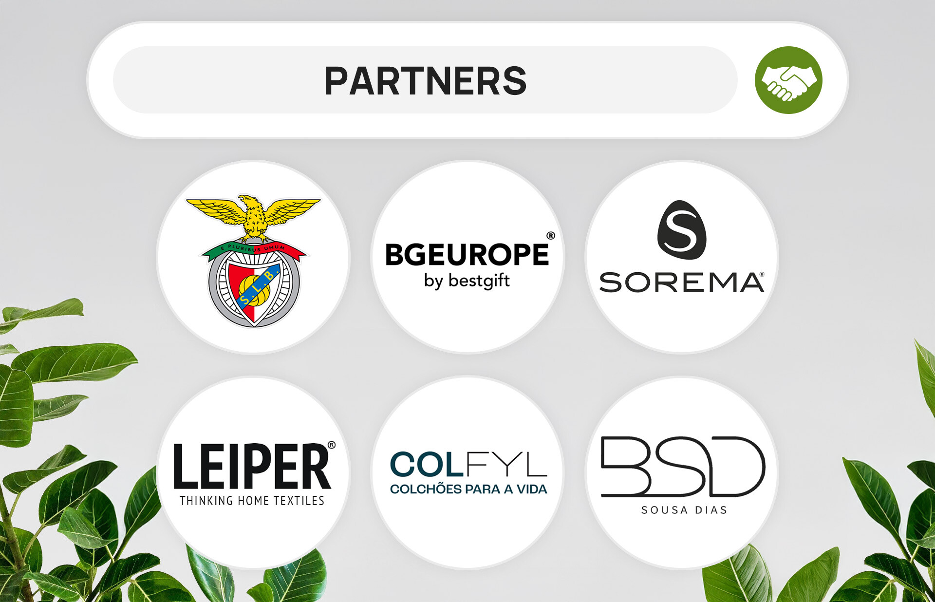 website image