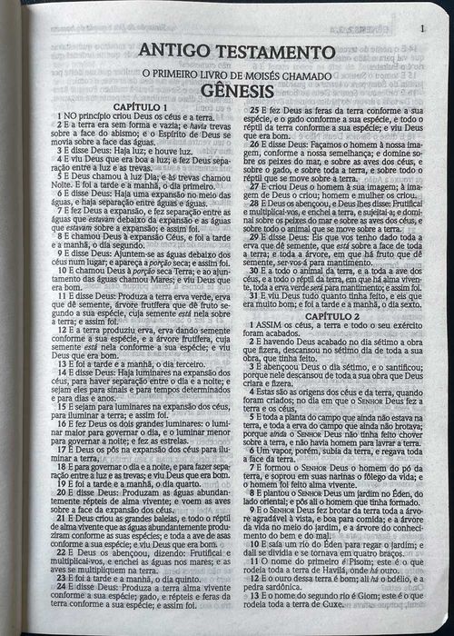 Biblia Sagrada (ACF) Capa Dura - Coração