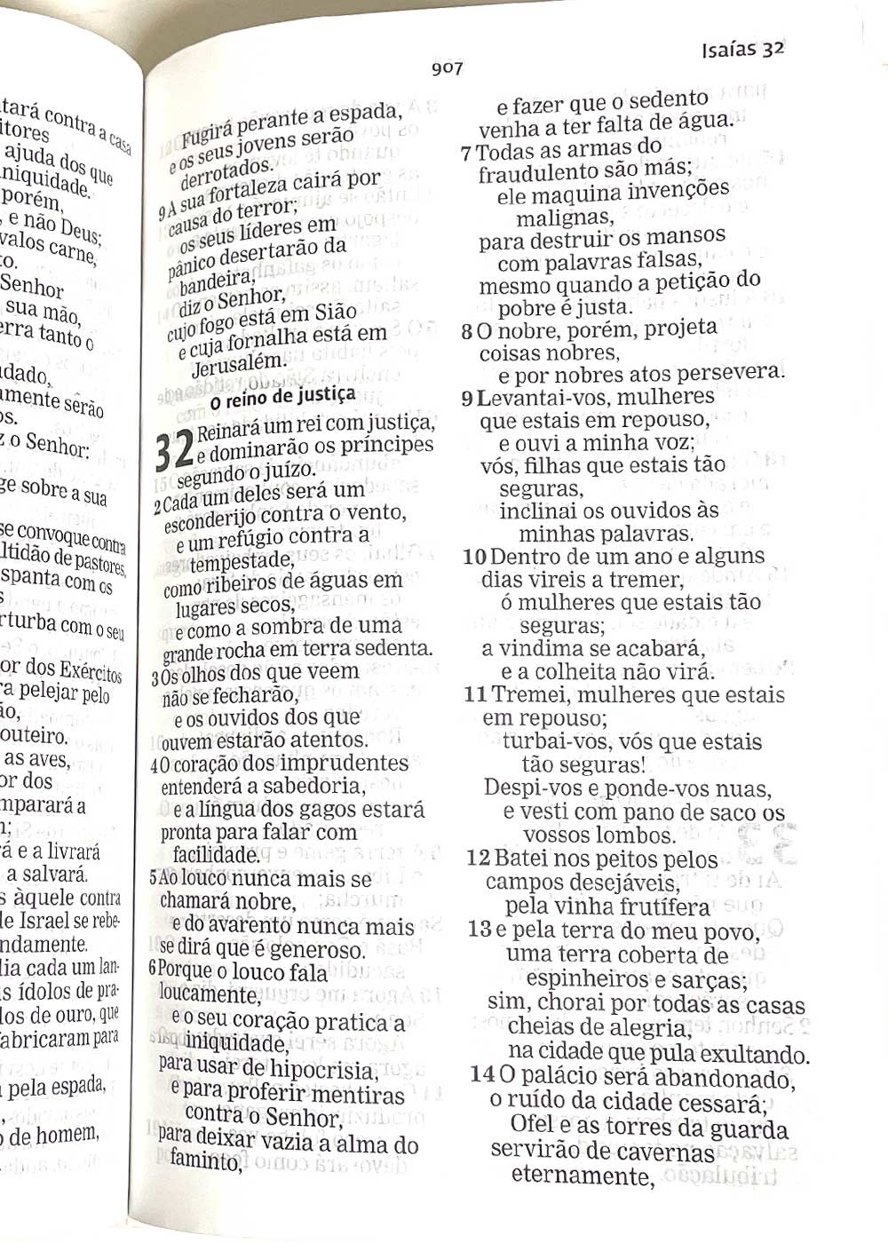 BIBLIA AEC LETRA GIGANTE CAPA PU FLORES - SALMAO - SEARA LIVRARIA