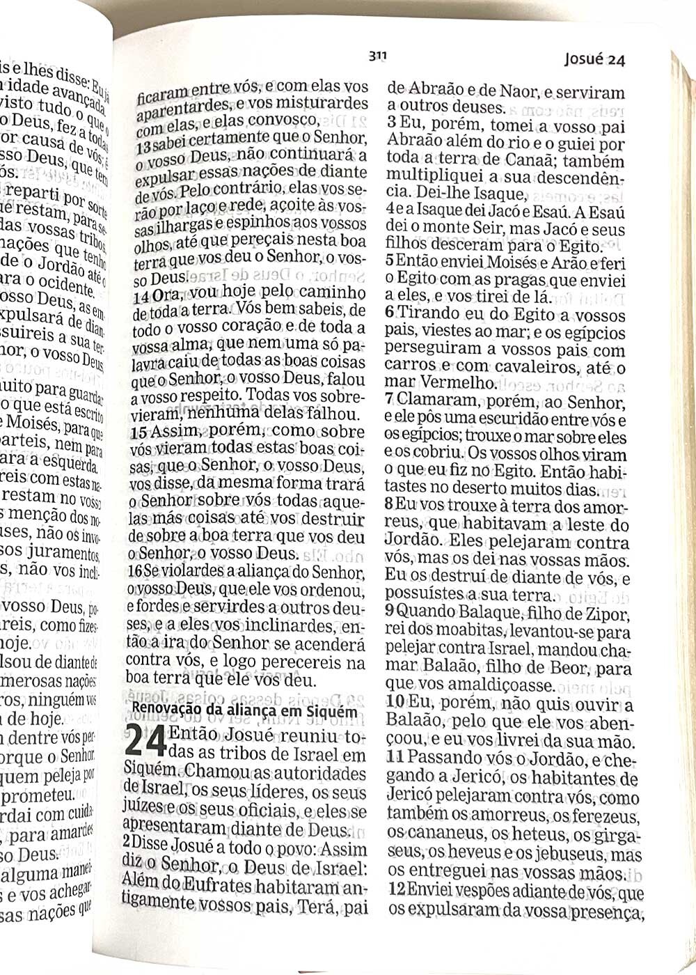 BIBLIA AEC LETRA GIGANTE CAPA PU FLORES - SALMAO - SEARA LIVRARIA