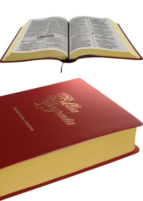Biblia Sagrada (ARA) Letra Gigante - Linha Ouro Vermelha