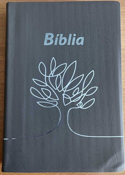 Biblia (ARC - PT) Letra Maior Cinzenta - C/ Concordancia