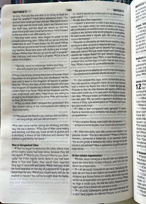 Biblia Bilingue Português (NAA) Inglês (ESV) Castanho