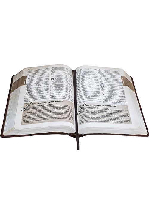 Biblia das Descobertas para Adolescentes (NTLH)