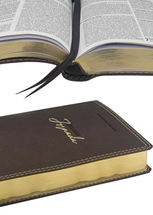 Biblia Sagrada (NAA) Jornada Slim Vinho