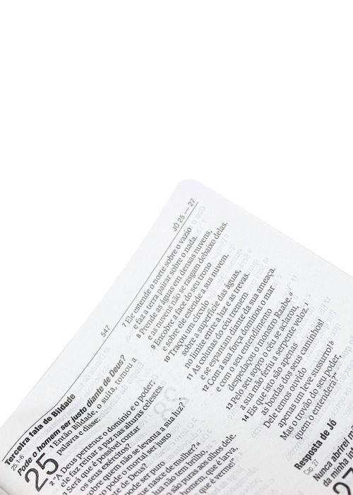 Biblia Sagrada (NAA) Dourada Leão