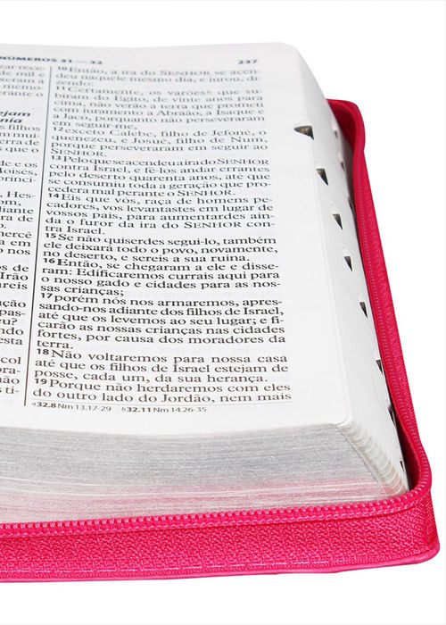 Biblia Sagrada (ARA) Letra Gigante - Pink c/ Indice e Fecho
