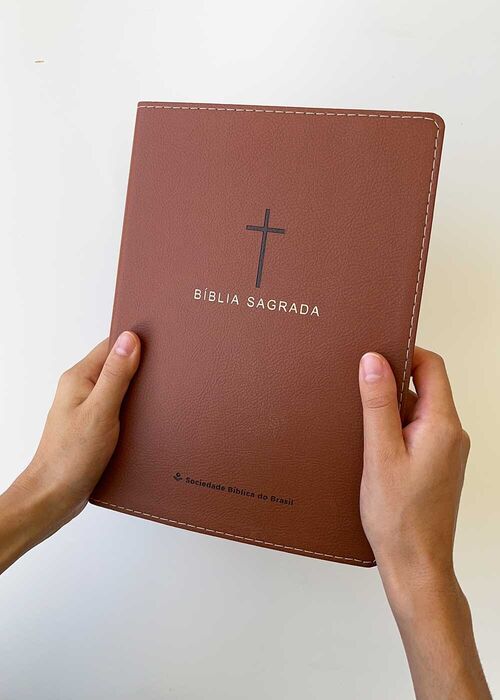 Biblia Sagrada (NAA) Slim Castanho