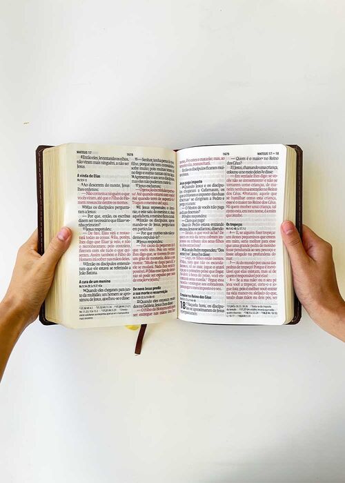 Biblia Sagrada (NAA) Letra Super Gigante Cinzenta