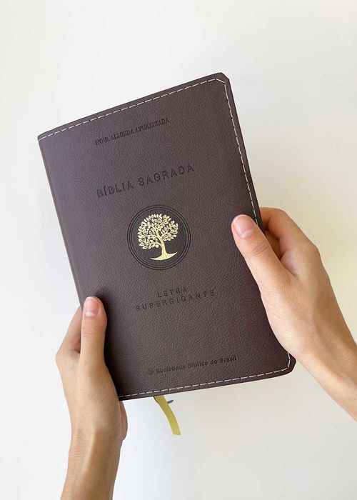 Biblia Sagrada (NAA) Letra Super Gigante Vinho