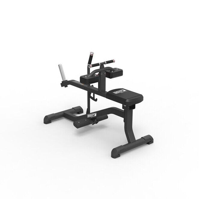 Seated Calf Raise