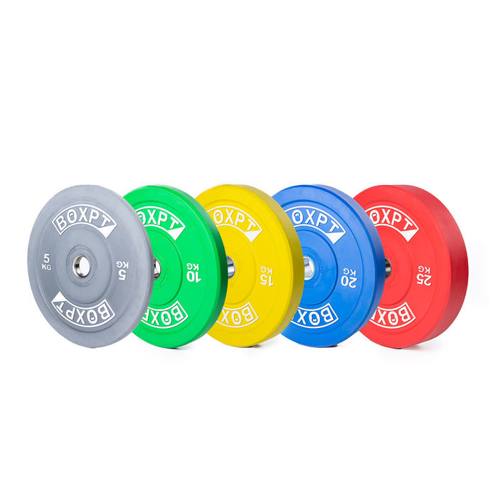 Coloured Bumper