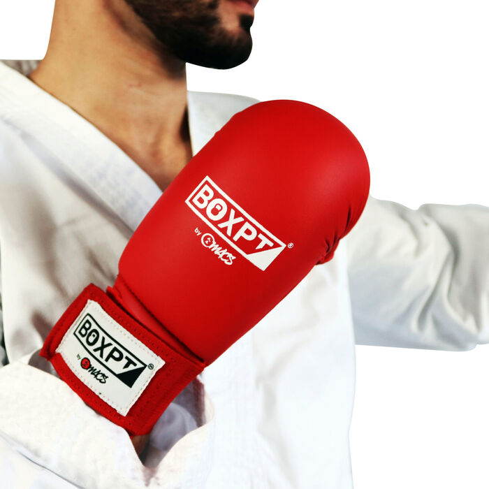 Karate gloves