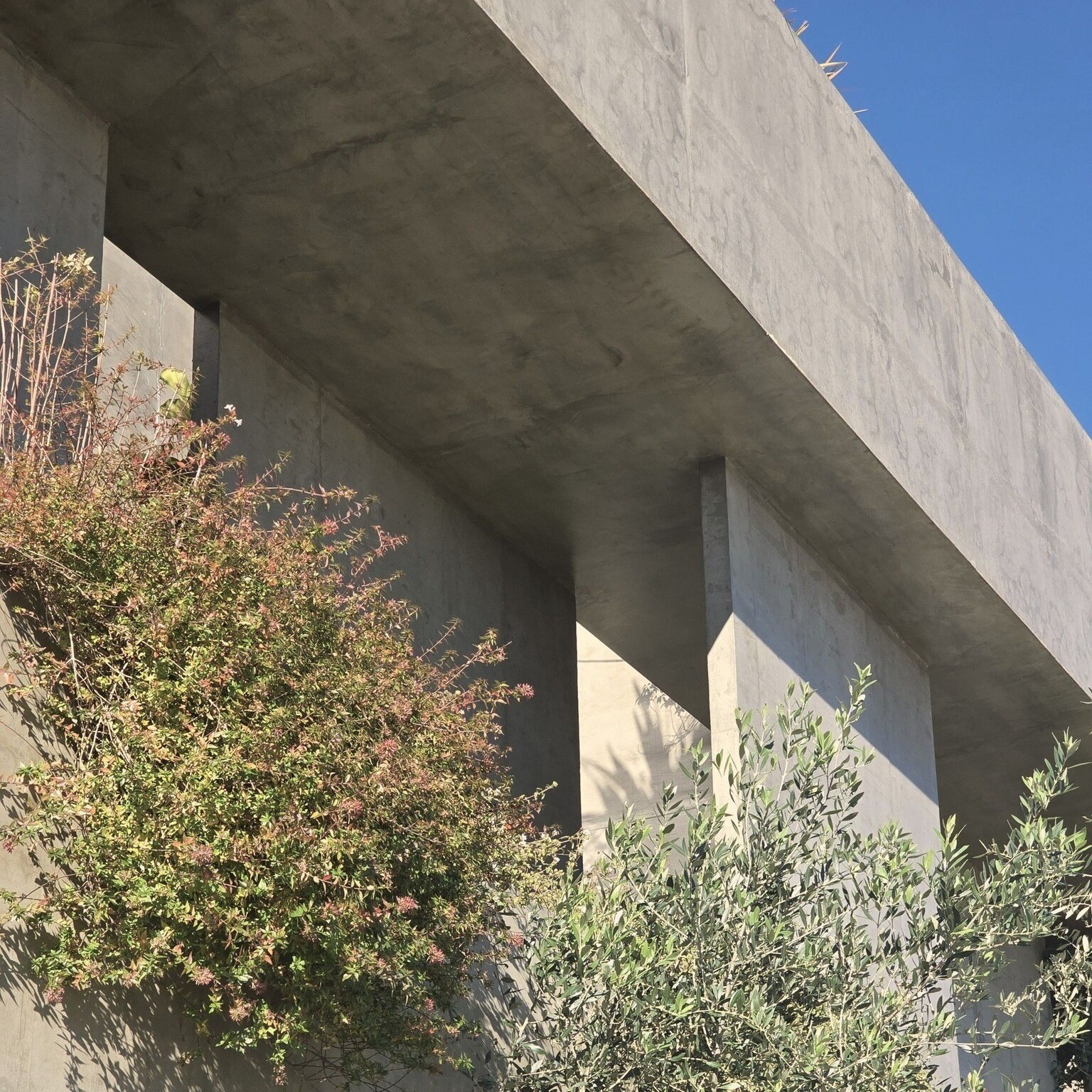 website image