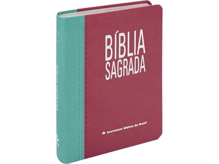 Bíblia Sagrada | ARA | Letra Gigante | Rosa/Turquesa