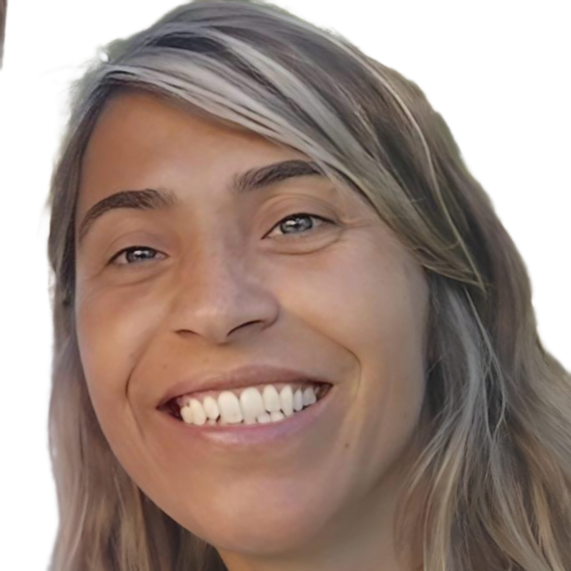 Orgãos Sociais