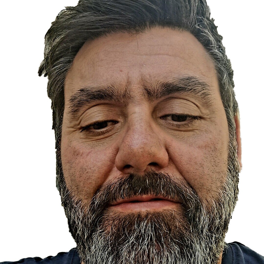 Orgãos Sociais