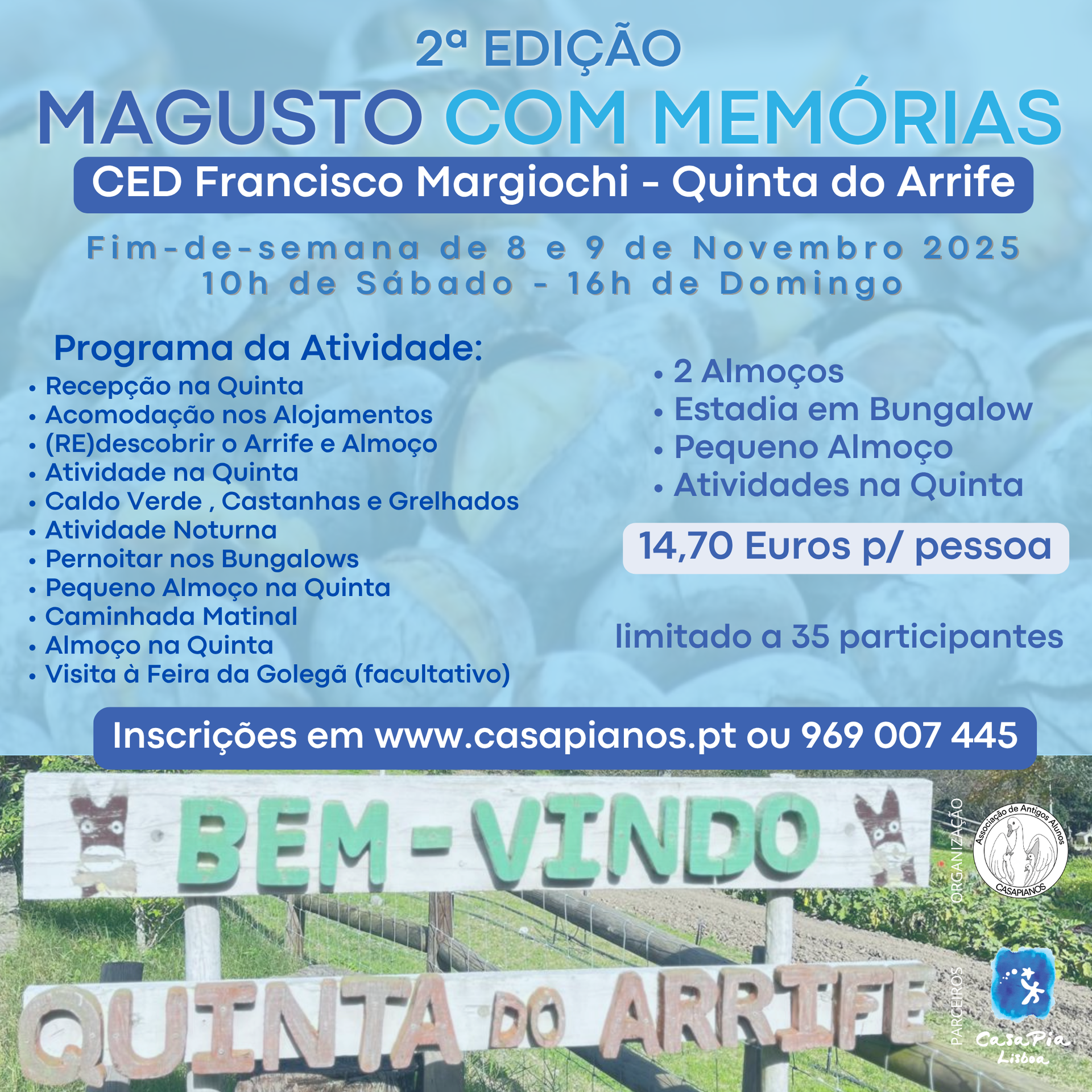website image