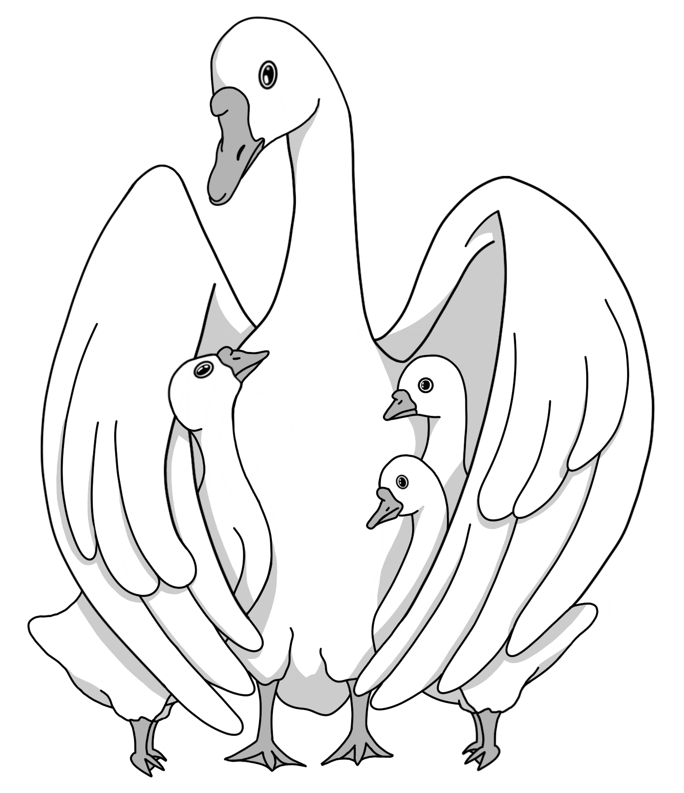 website image