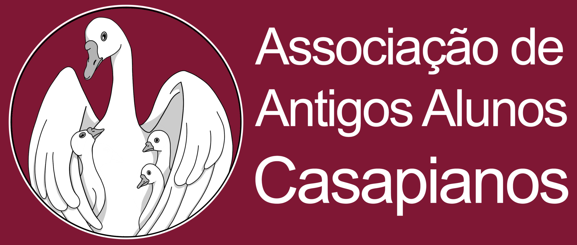 website image