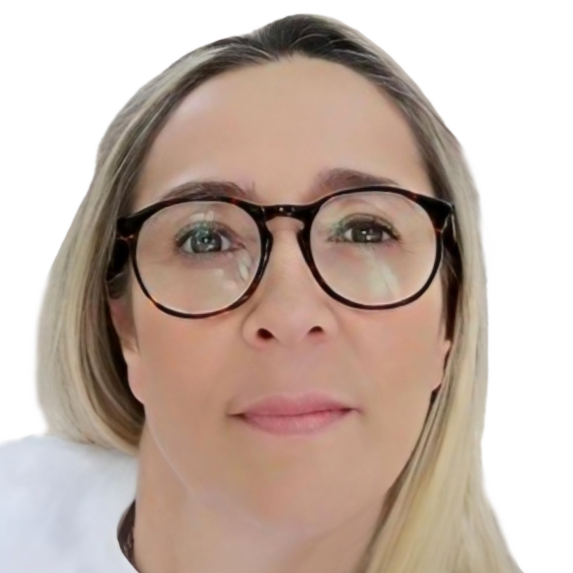 Orgãos Sociais