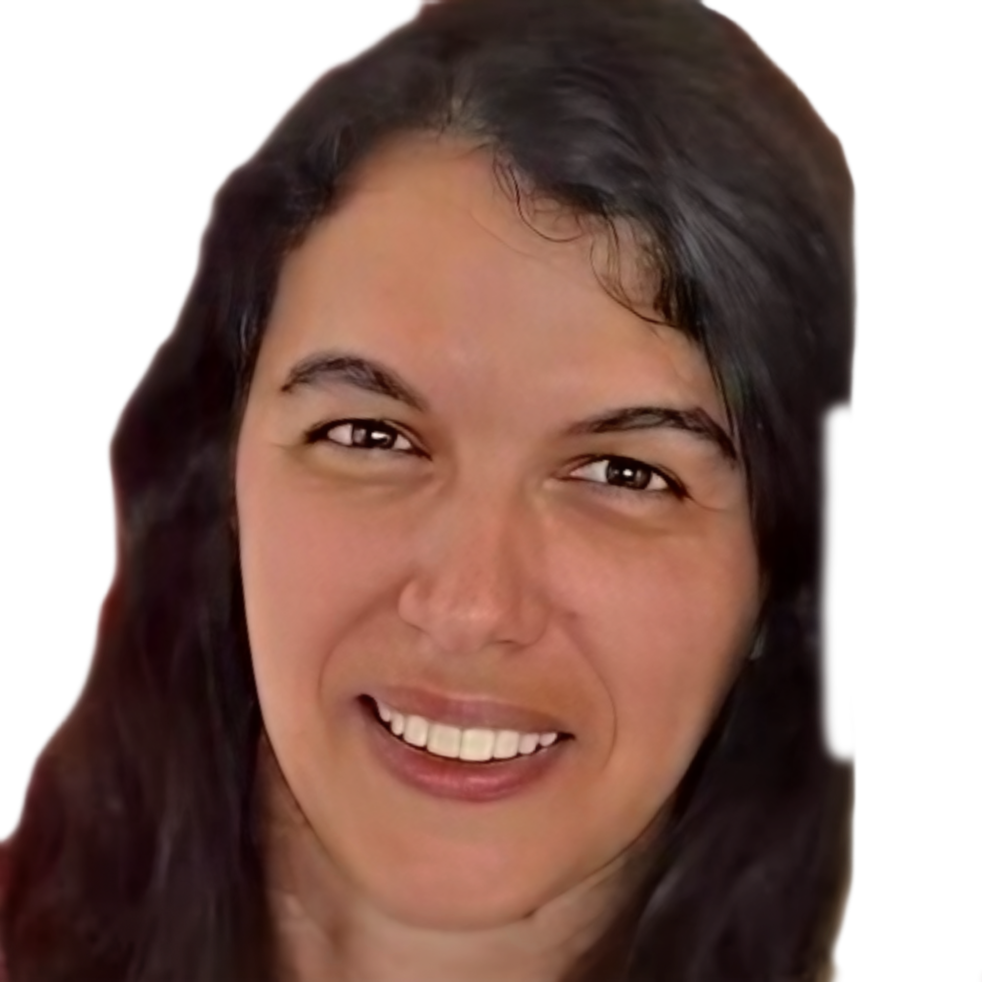Orgãos Sociais