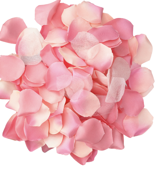 DIABO PICANTE - 100 PÉTALAS ROSA