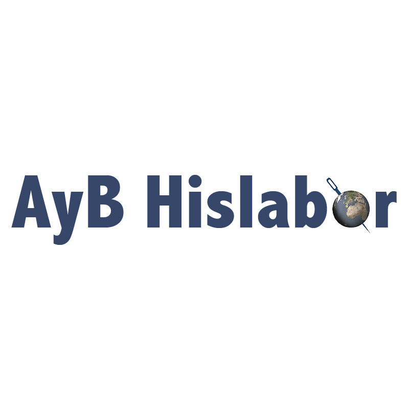 AyB+Hislabor
